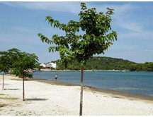 strand9